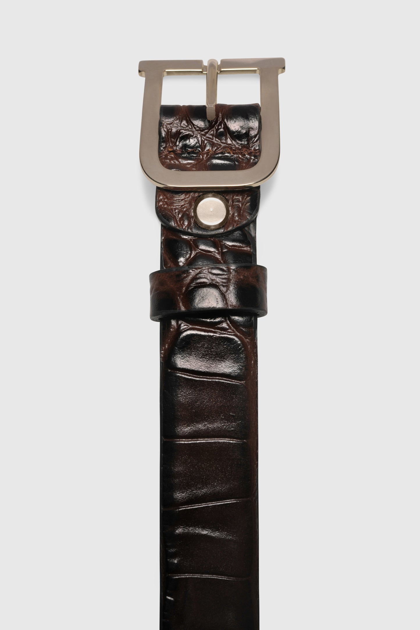 Bold Signature Belt Cocostampato Chocolate