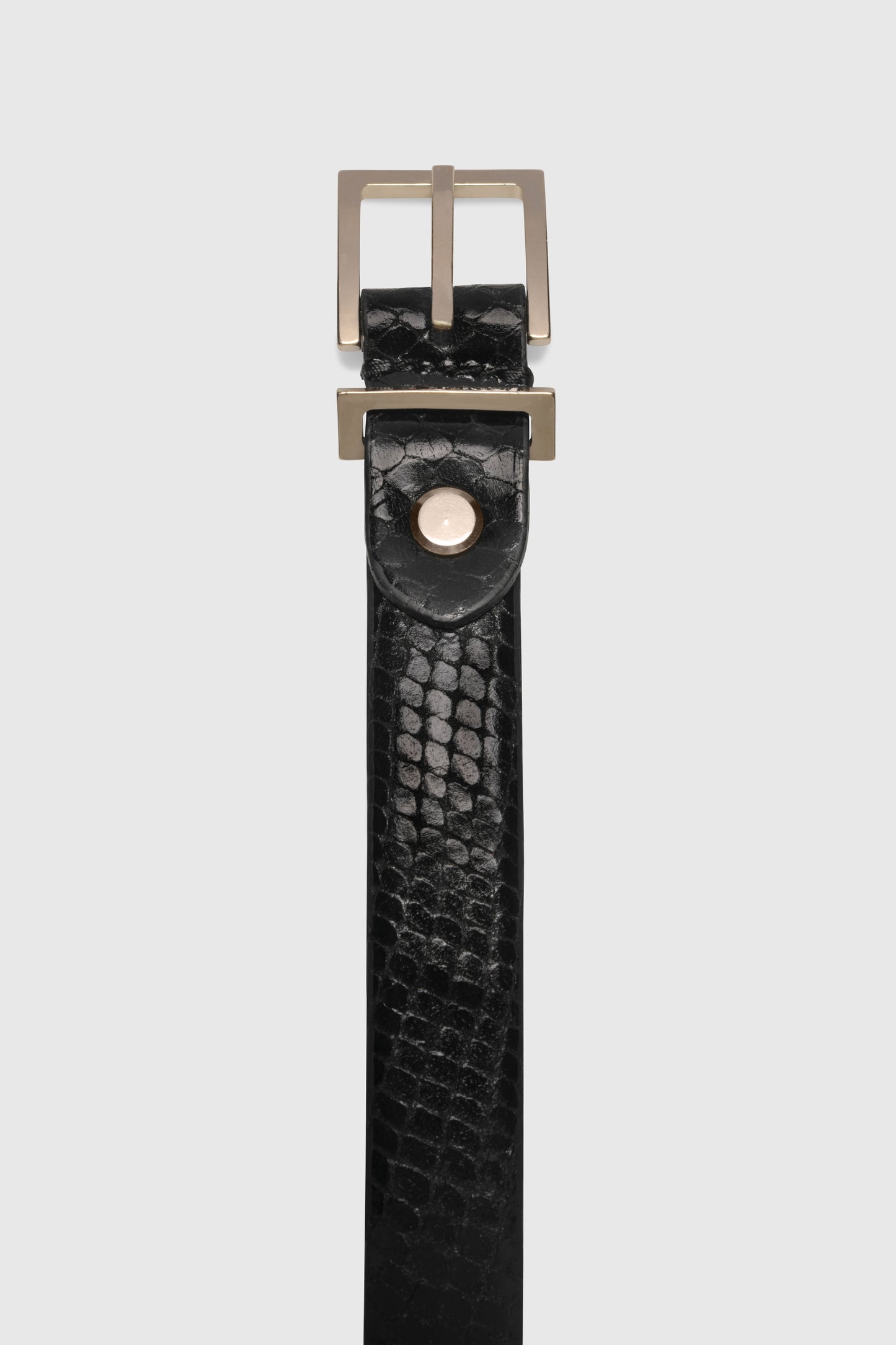 Slim Signature Belt Pitone Stampato Black