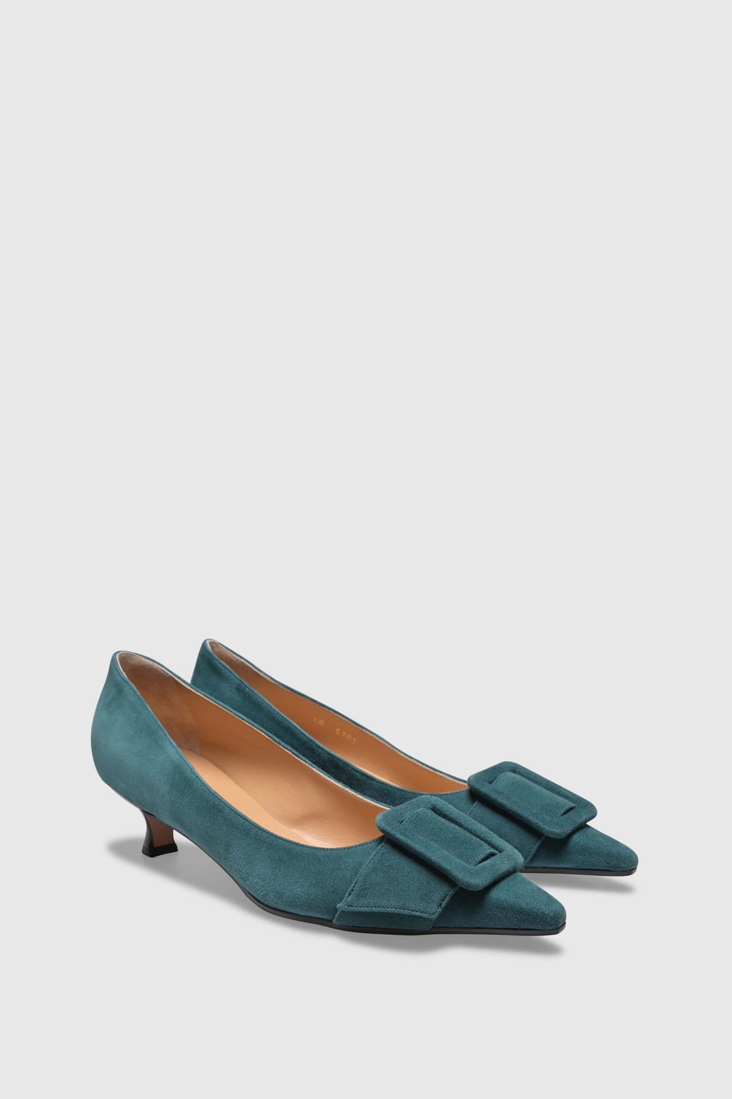 Pump 5791