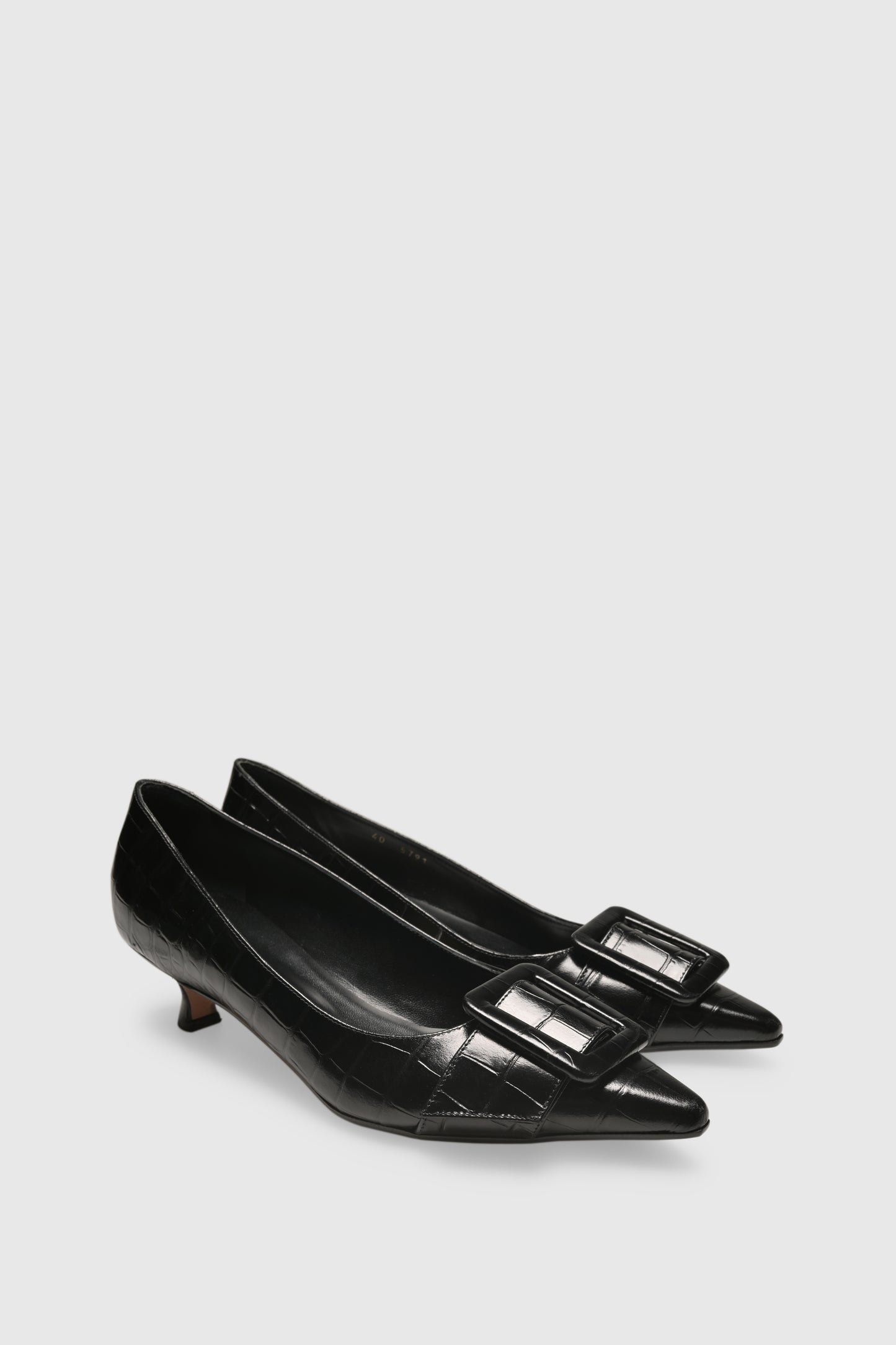 Pump 5791