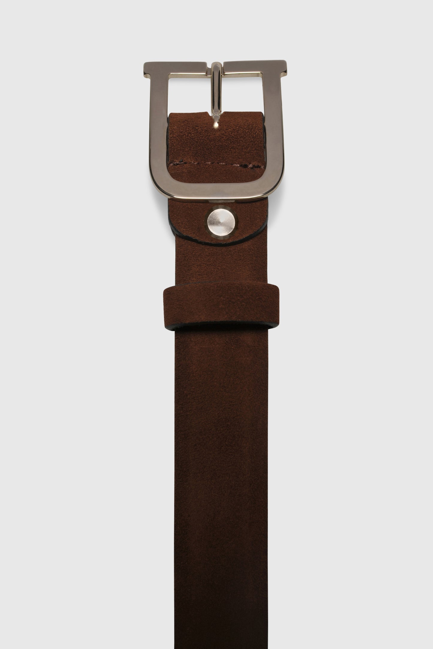 Bold Signature Belt Camoscio Cognac