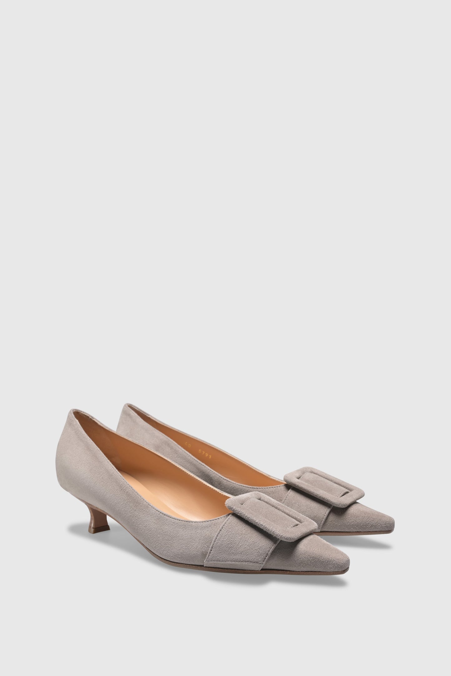 Pump 5791